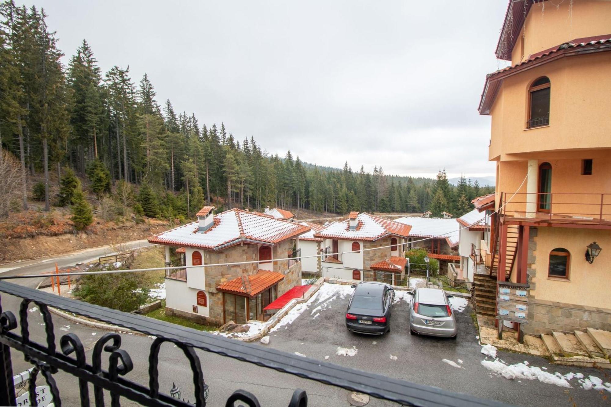 Ski Chalets At Pamporovo - An Affordable Village Holiday For Families Or Groups Екстер'єр фото